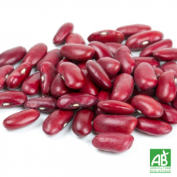 Haricot rouge bio