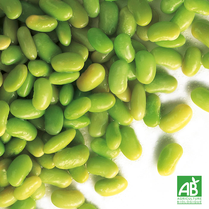 Flageolet vert