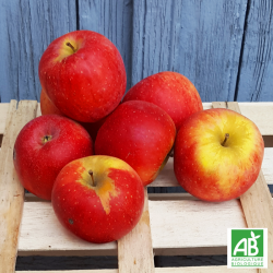 Pomme Ariane bio