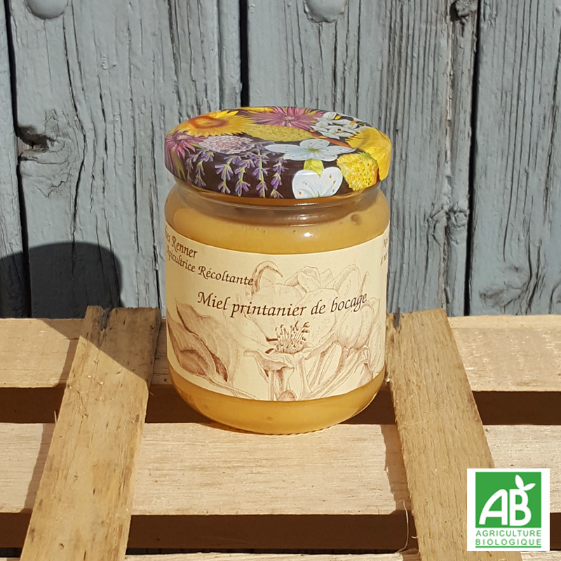 Miel printanier de bocage bio