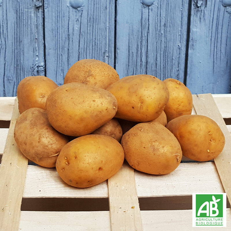 Pomme de terre - Maïwen bio