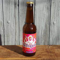 Bière Octopus - IPA - Hotel Californial