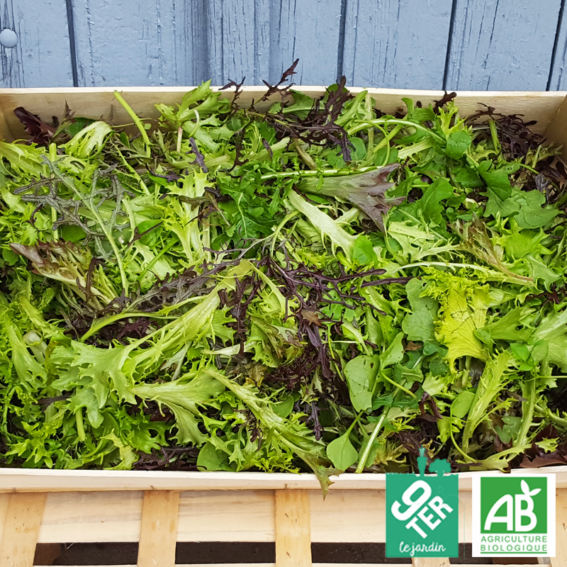 Mesclun bio 9TER