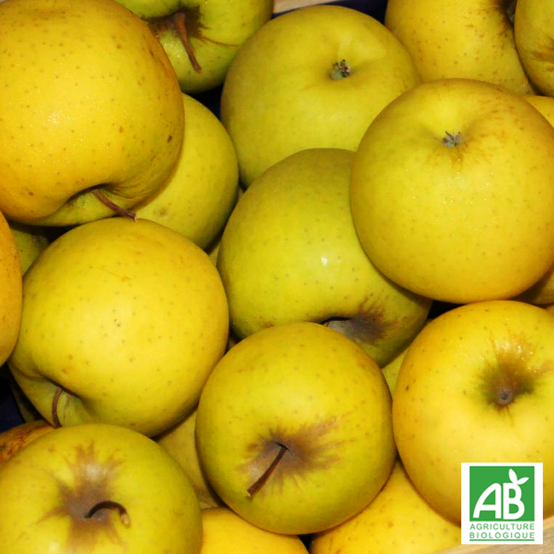 Pomme Golden bio