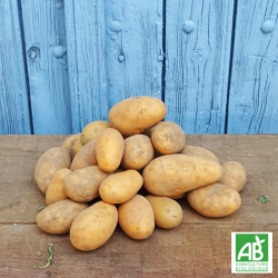 Pomme de terre Allians bio