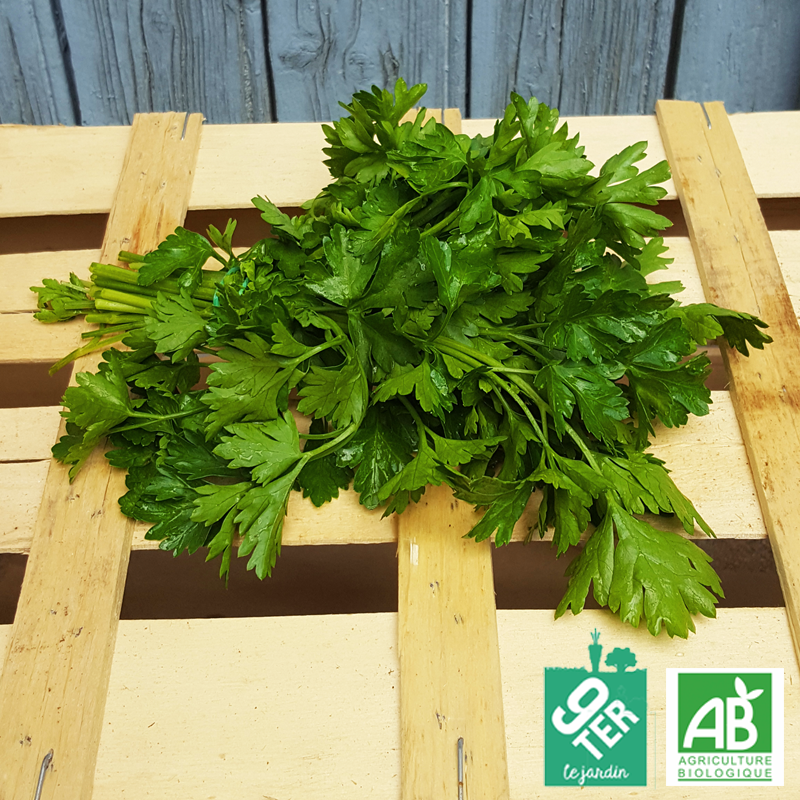 Persil plat bio 9TER