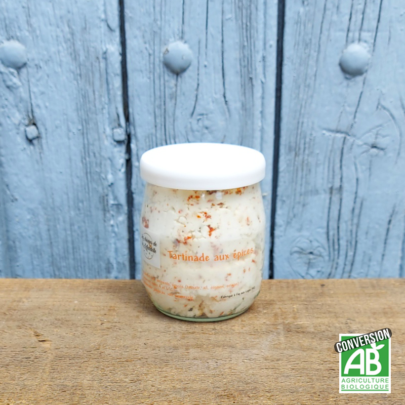 Tartinade de fromage de chèvre épicée