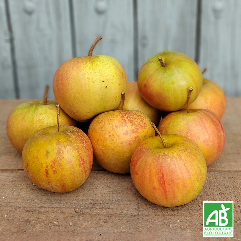 Pomme Rubinette bio