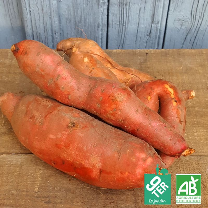 Patate douce bio 9TER