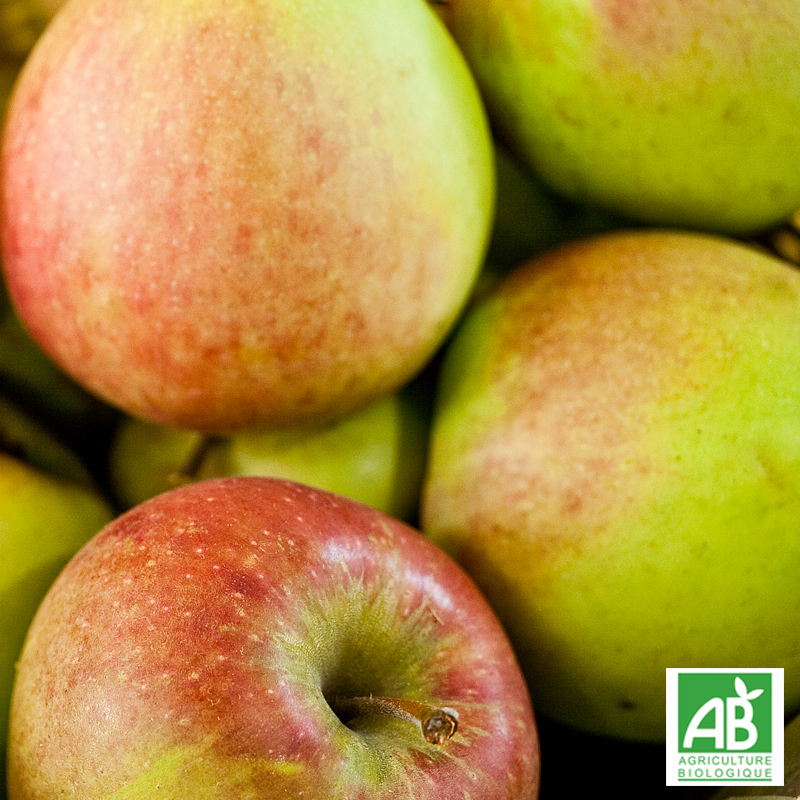 Pomme Delbard Jubilé bio Pomme Delbard Jubilé bio