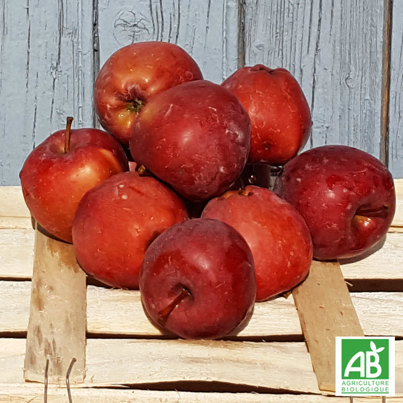 Pomme Top Red bio