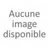Annelies Renner